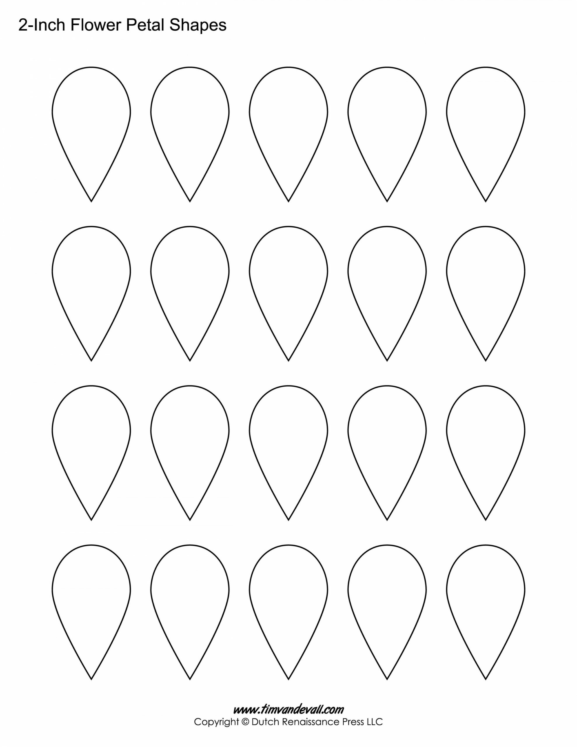 Printable Flower Petal Templates for Making Paper Flowers  Flower