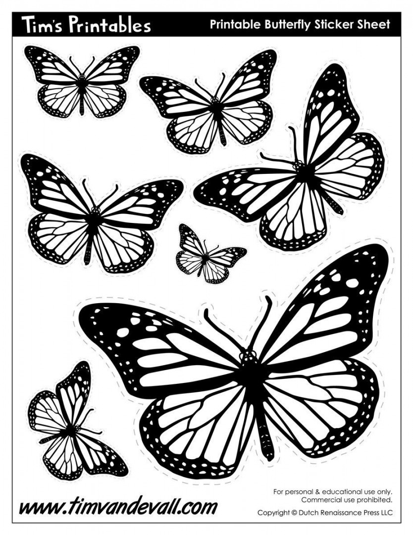 Butterfly Templates - Tim