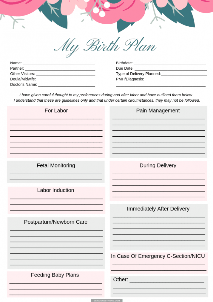 How To Make The Ultimate Birth Plan  Free One Page Template