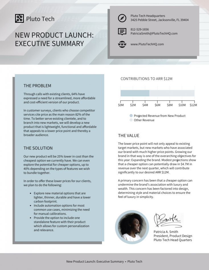 Product One Page Executive Summary Template