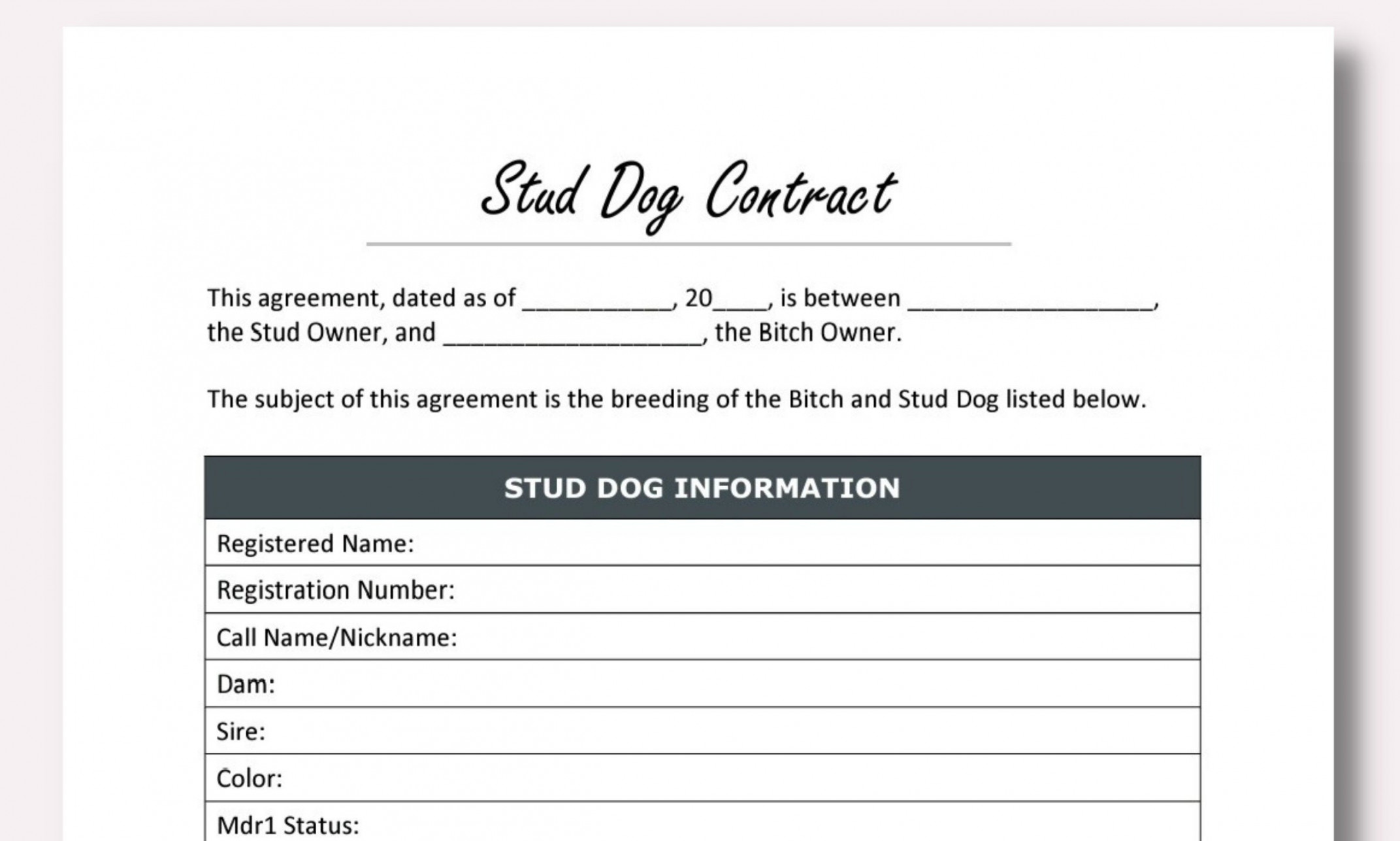 Stud Dog Contract Template - Etsy