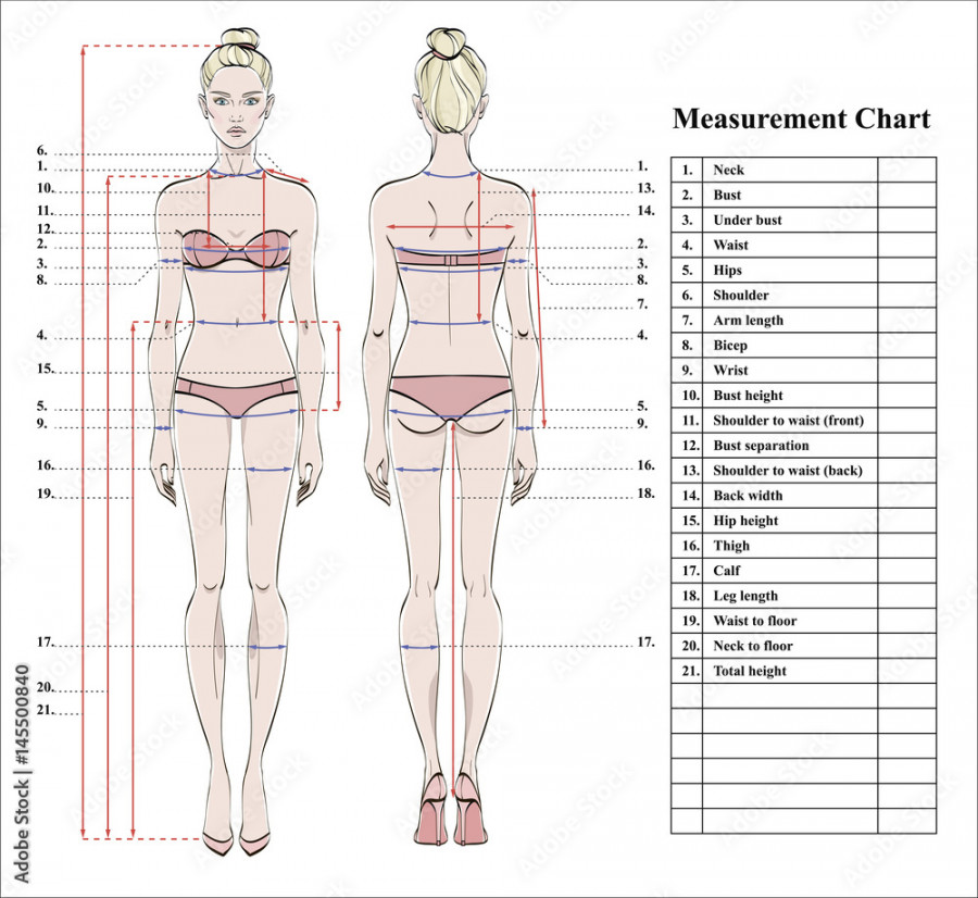 Woman body measurement chart