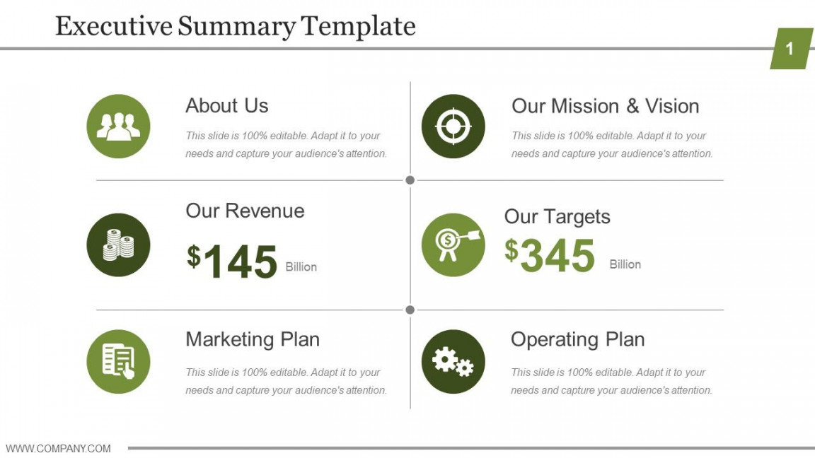 Executive Summary Template Powerpoint Show  PowerPoint Slide