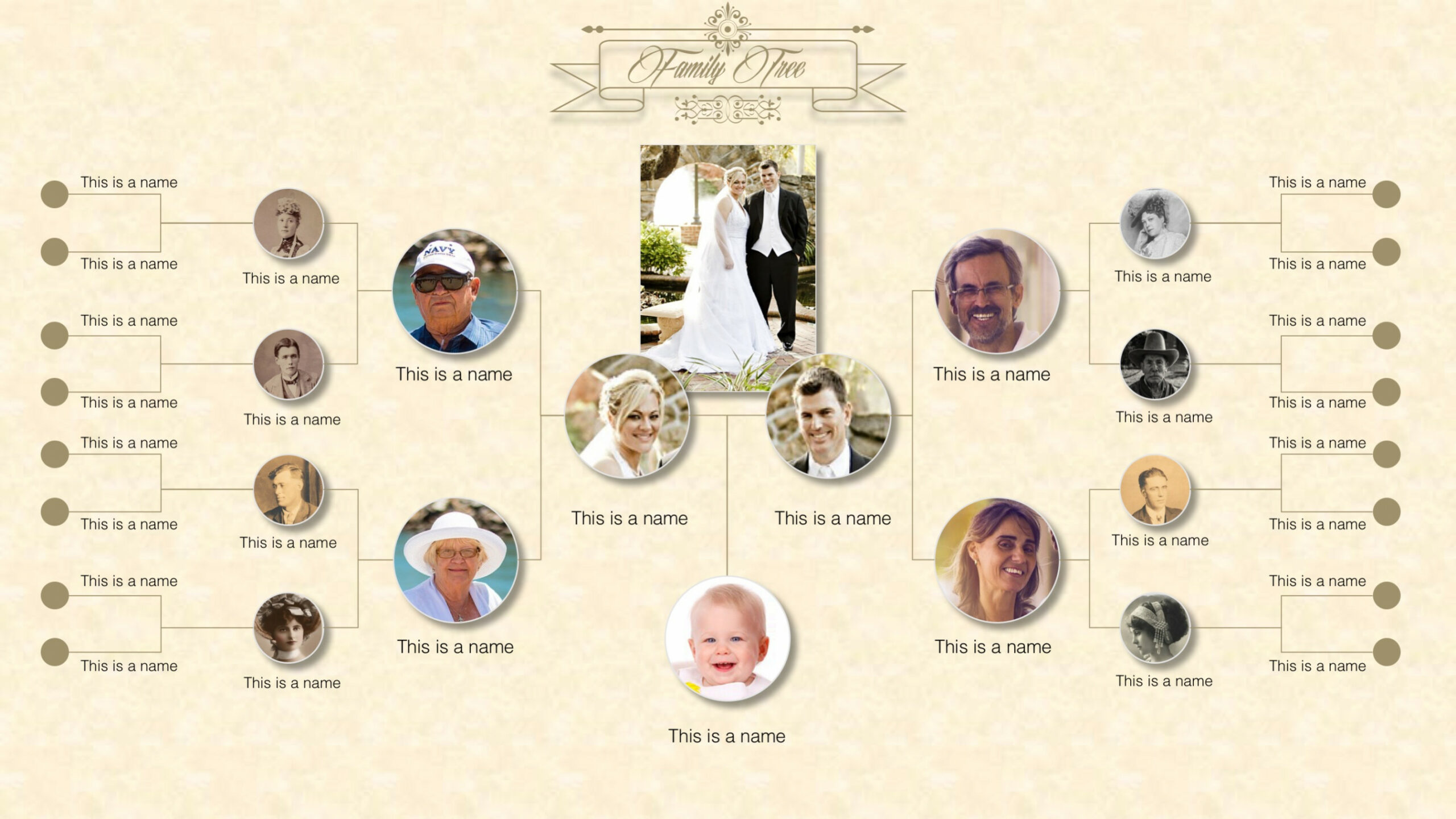 Family Tree PowerPoint Templates