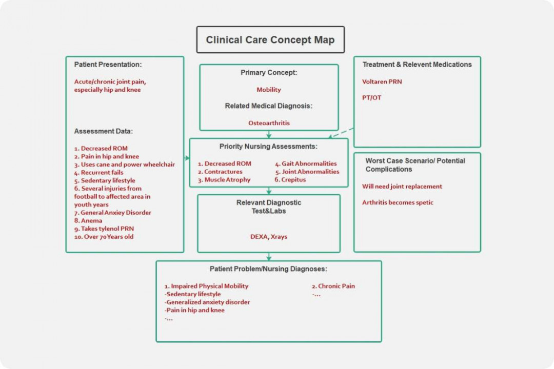 Nursing Concept Map Template  EdrawMind