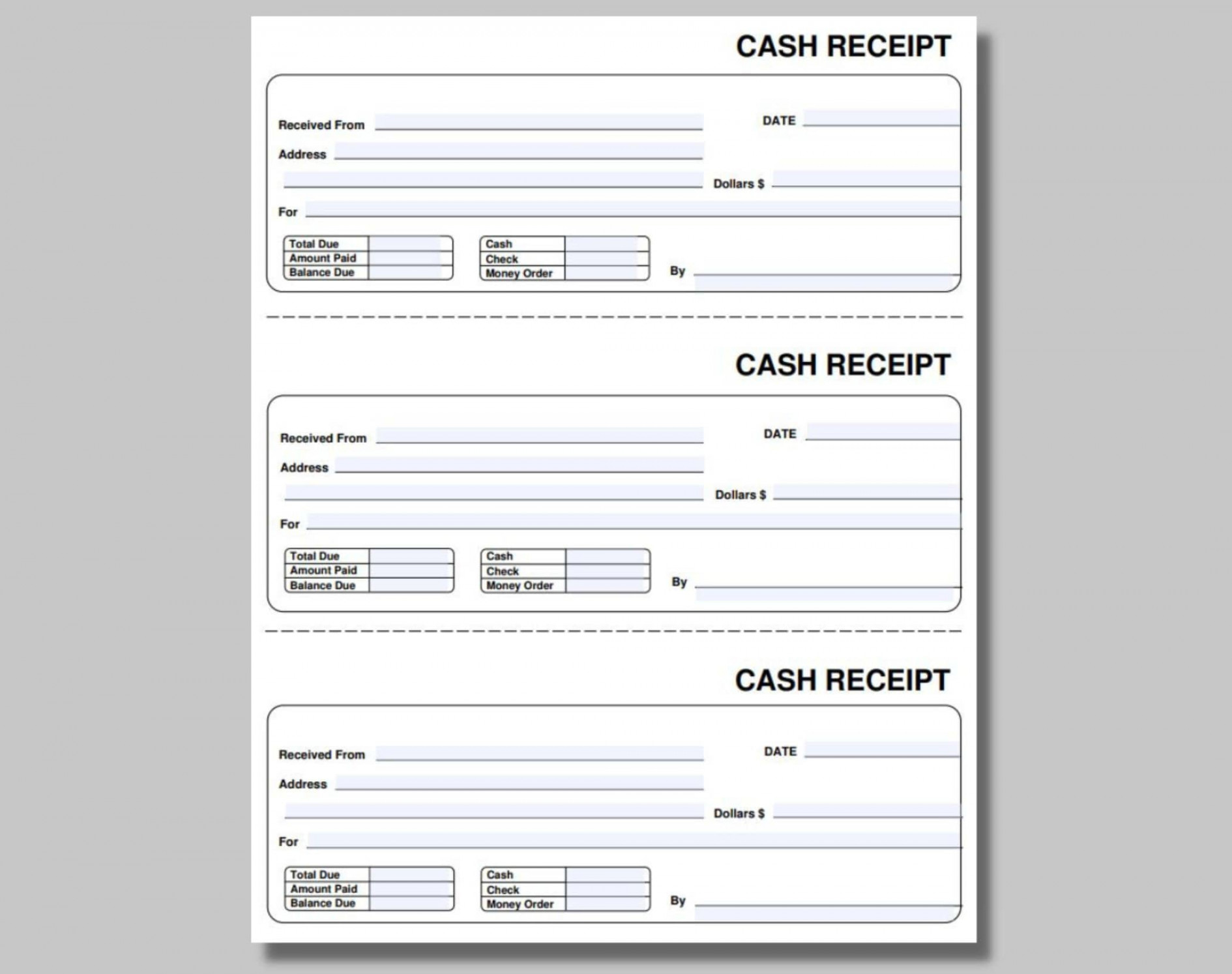 Cash Receipt Instant Download Fillable PDF Money or Rent - Etsy