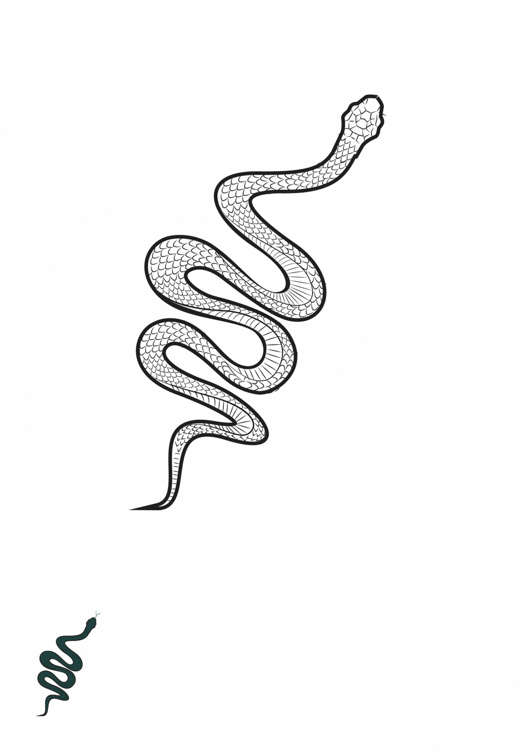 FREE Snake Template - Download in PDF, Illustrator, Photoshop, EPS