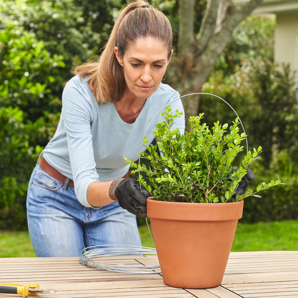 How To Create And Maintain Topiary