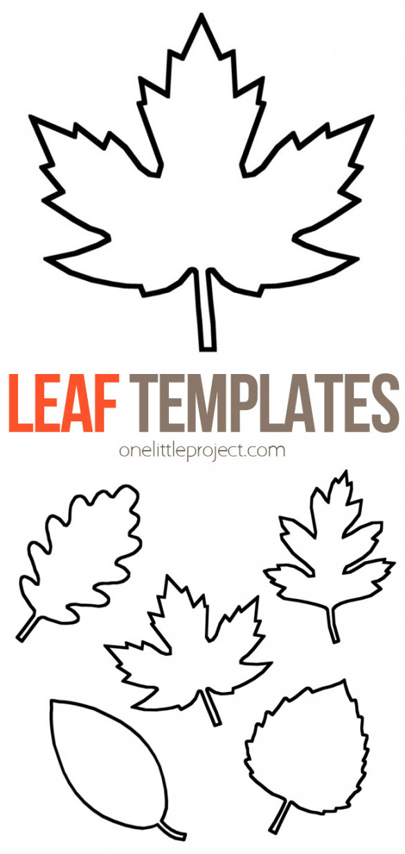 Leaf Template  Free Printable Leaf Outlines - One Little Project