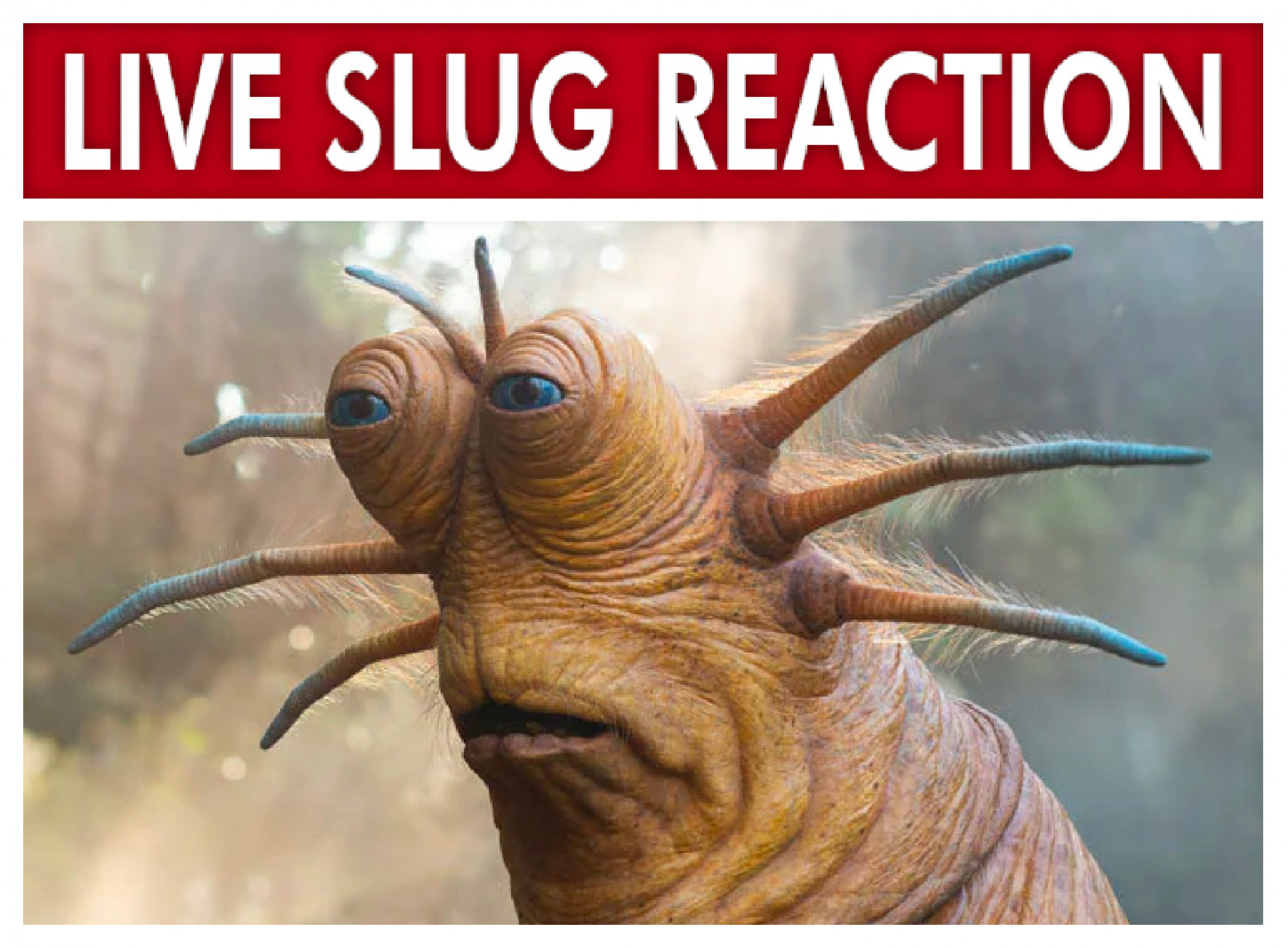 Live Slug Reaction Klaud Star Wars Meme Template