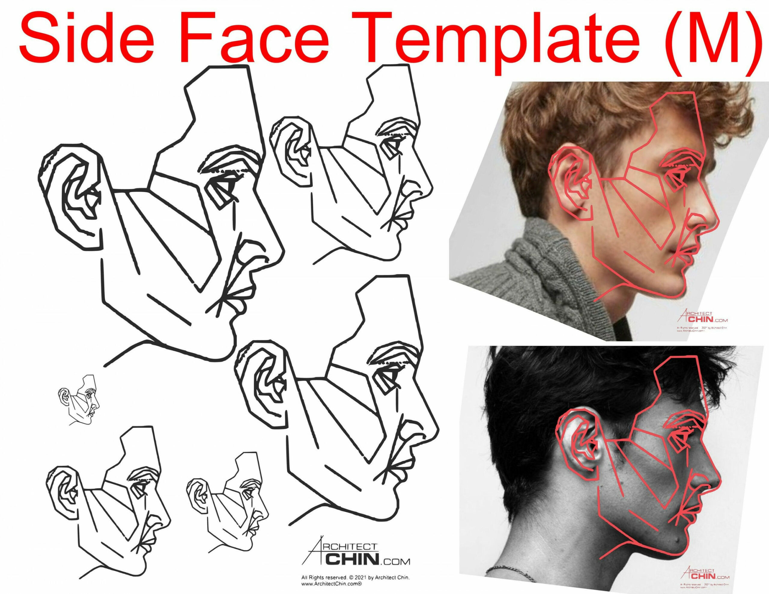 Male Face Template Male Face Ratio Male Face Grid Side Face - Etsy