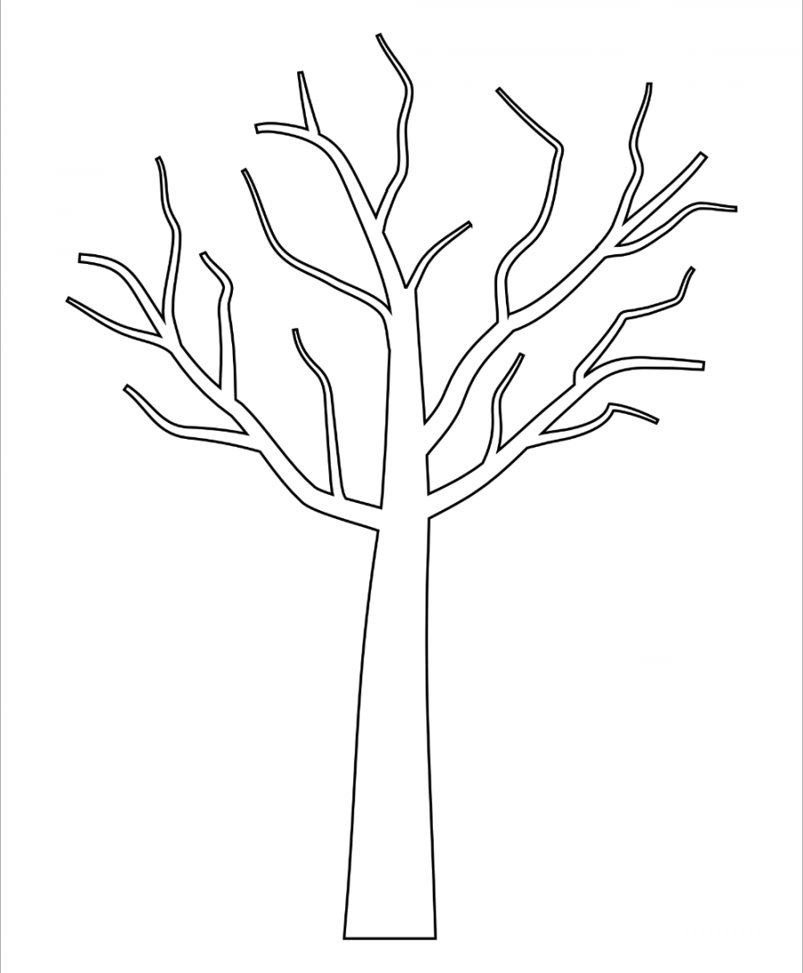 Tree with Branches Template  Tree templates, Tree printable free