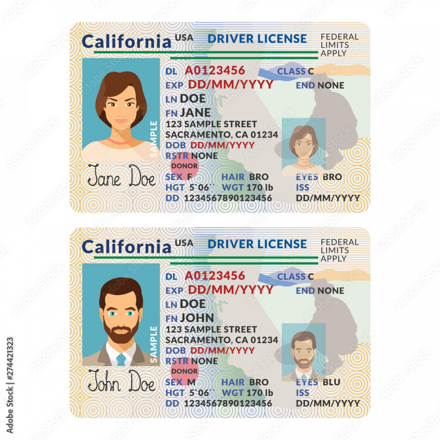 Vector template of sample driver license plastic card for USA