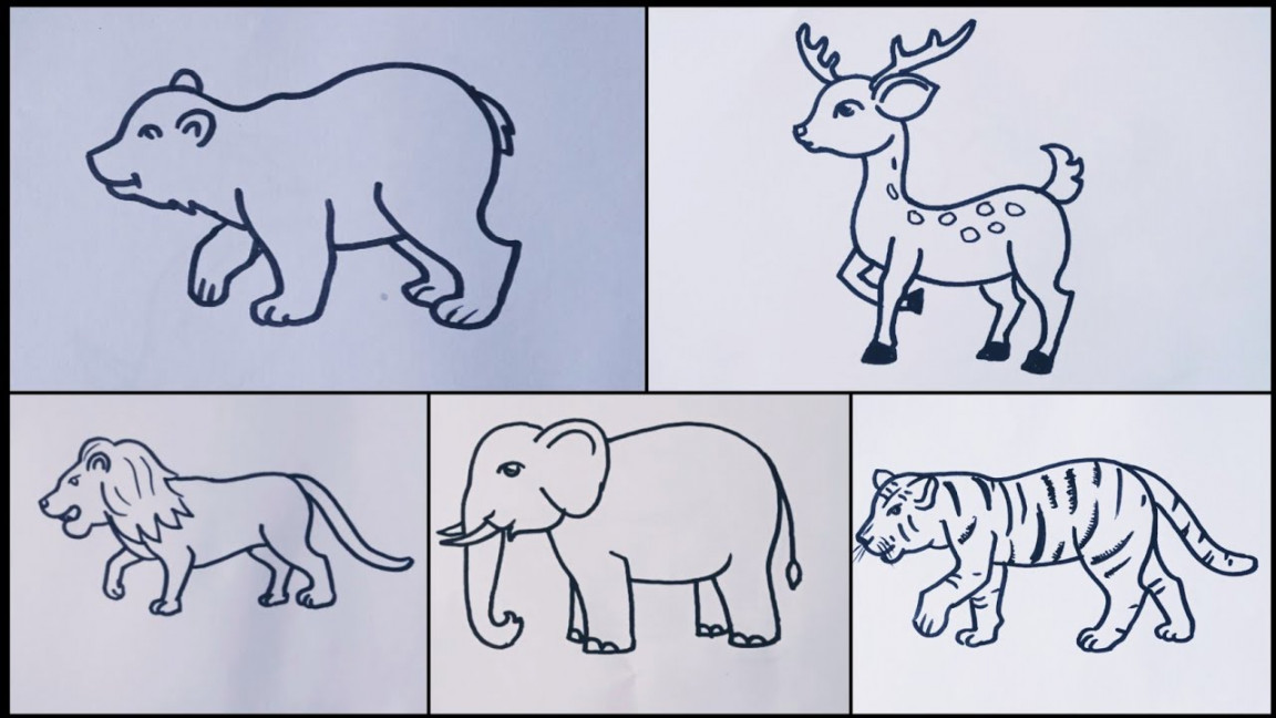 Animals drawing //How to draw Wild animals easy step by step