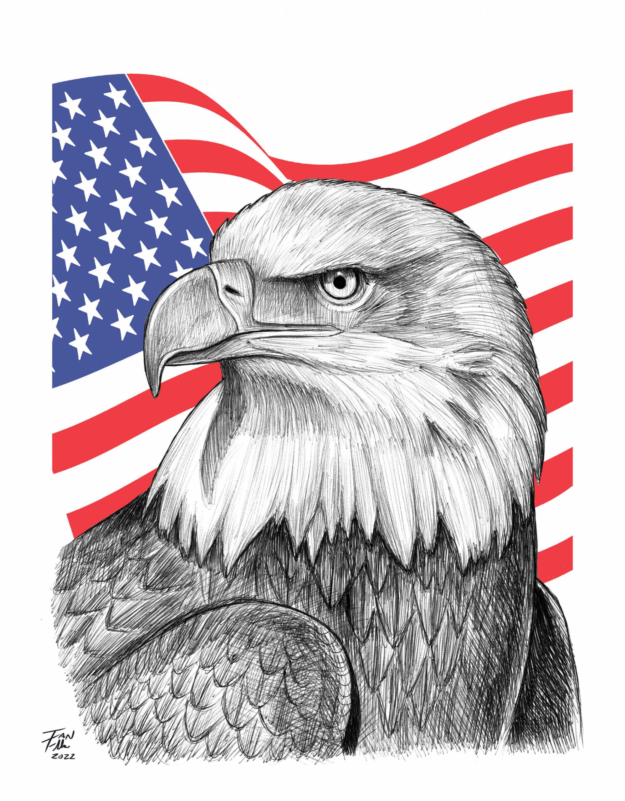 Bald Eagle Drawing, America, United States, Patriotism, Fine Art