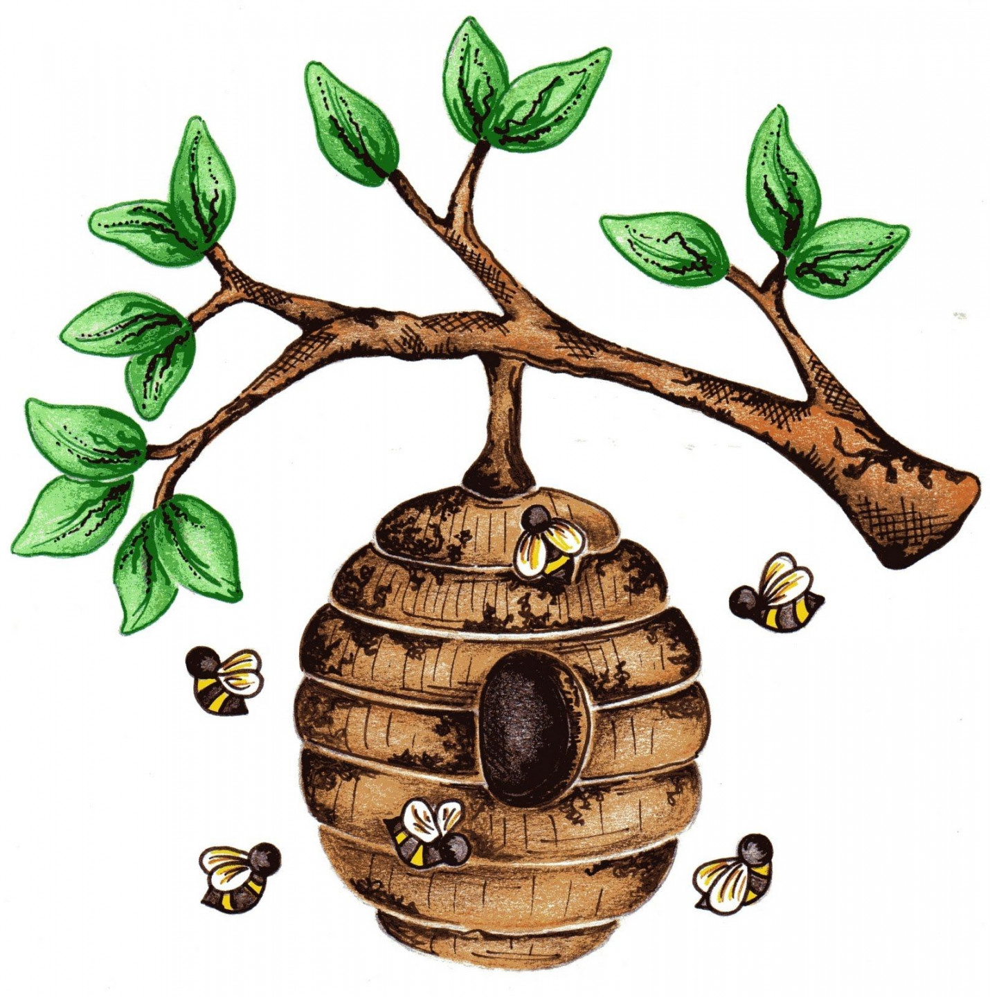 Beehive images for bee hive in tree clip art  Beehive art