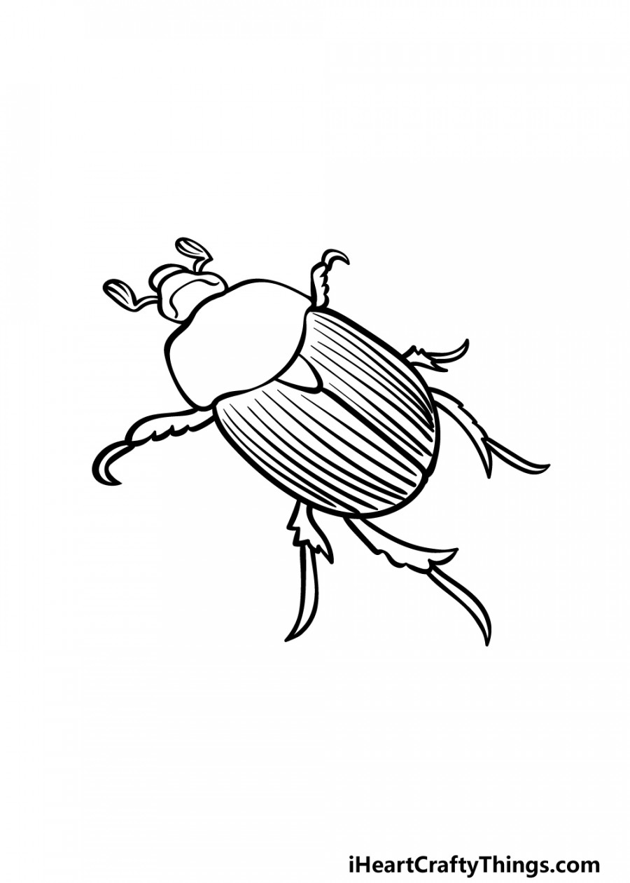 Beetle Drawing - How To Draw A Beetle Step By Step