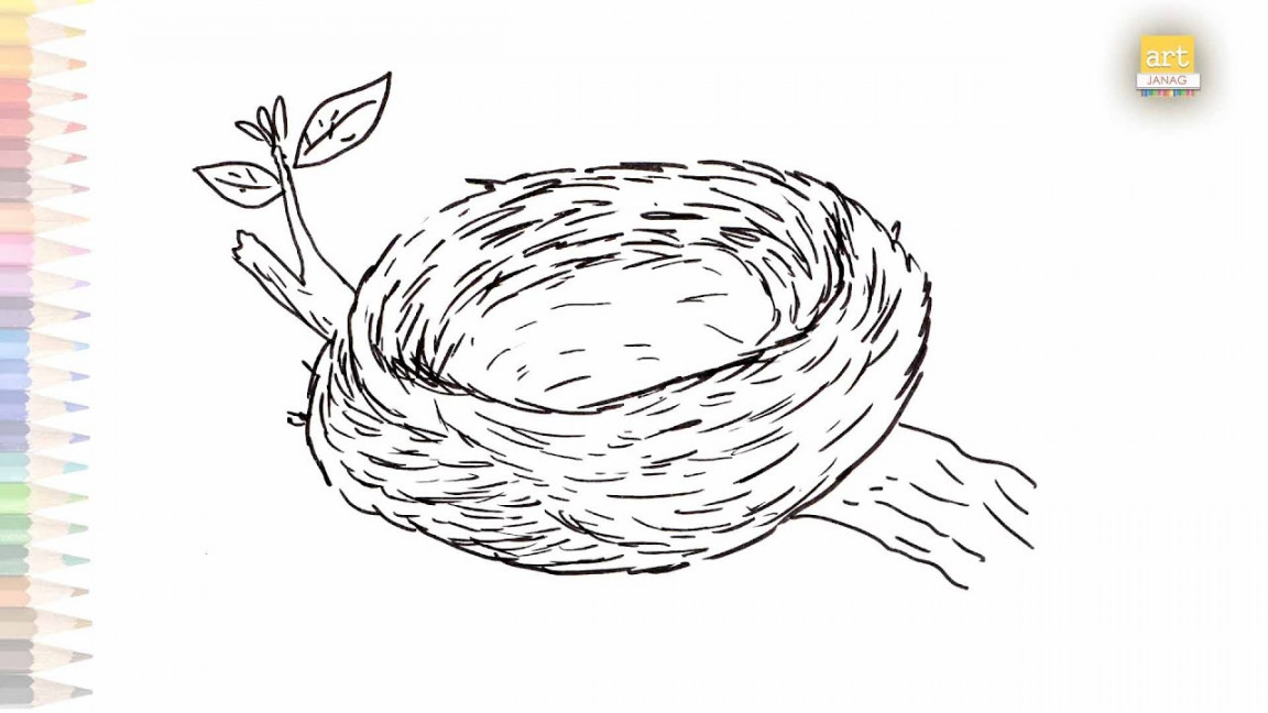 Birds Nest drawing easy  How to draw Nest step by step  Easy drawing  tutorials