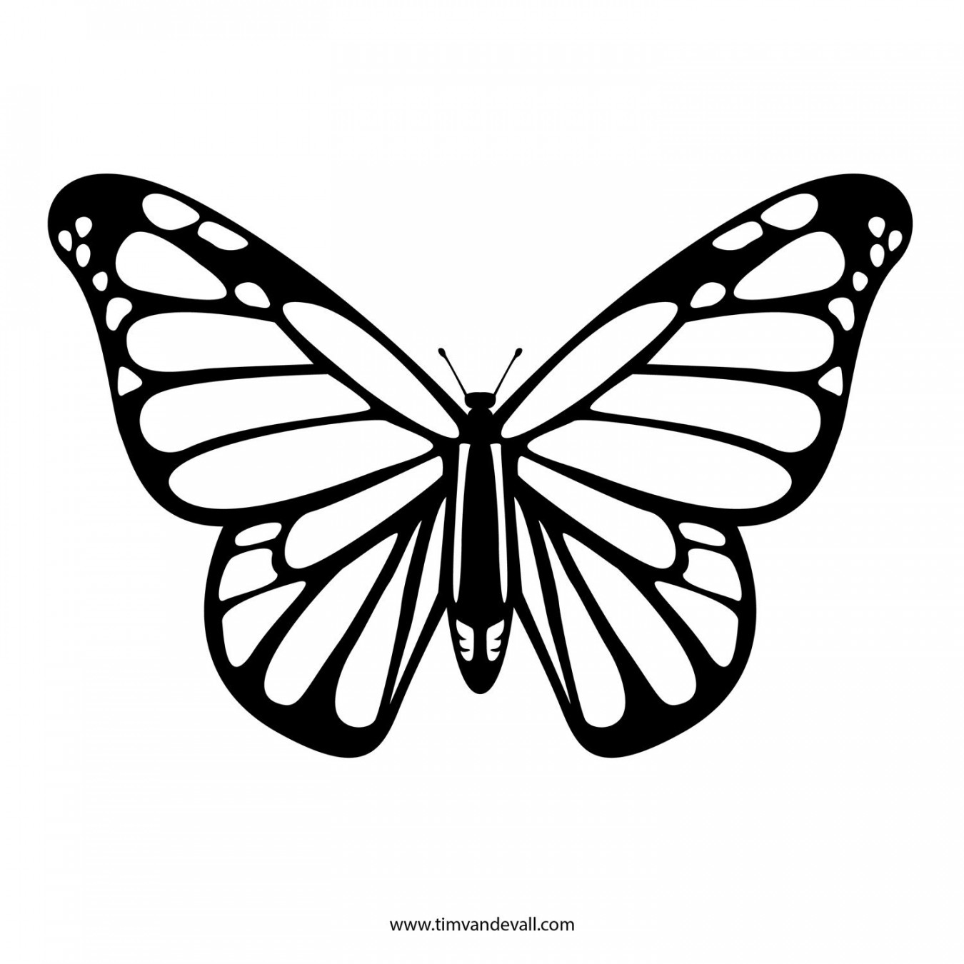 Butterfly Stencil – Tim