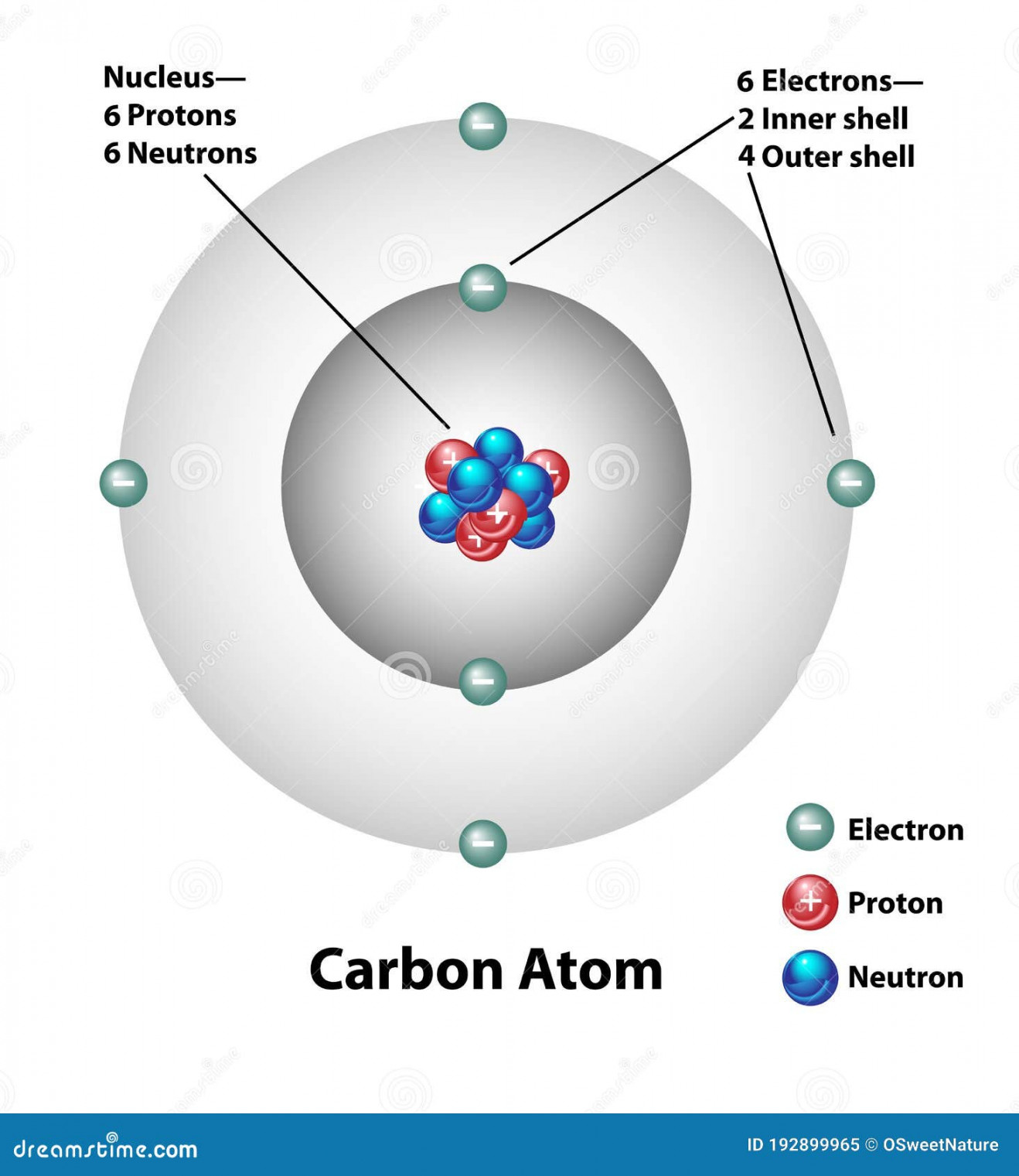 Carbon Atom Molecular Structure Labels Stock Vector - Illustration