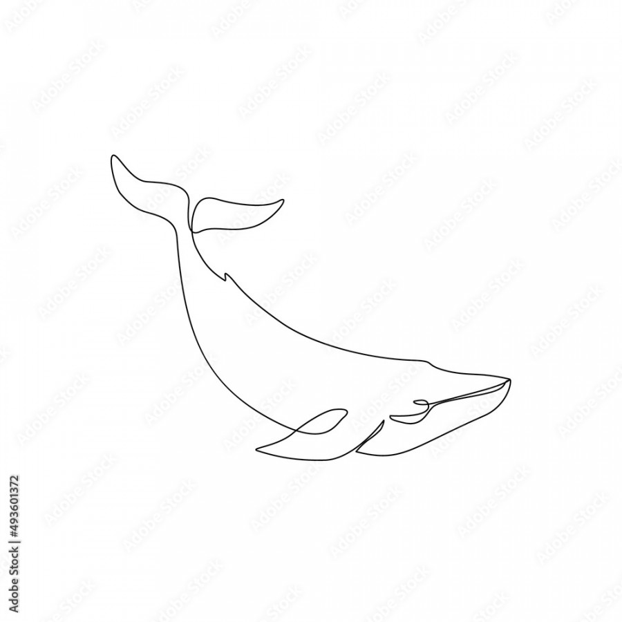 Continuous line drawing of whale