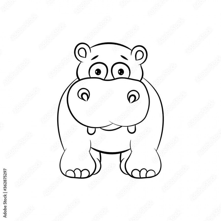 Cute little hippo drawing, line art illustration for coloring book