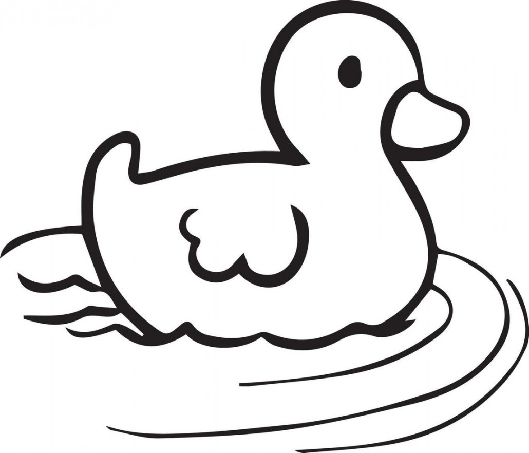 Duck Drawing Vector Art, Icons, and Graphics for Free Download