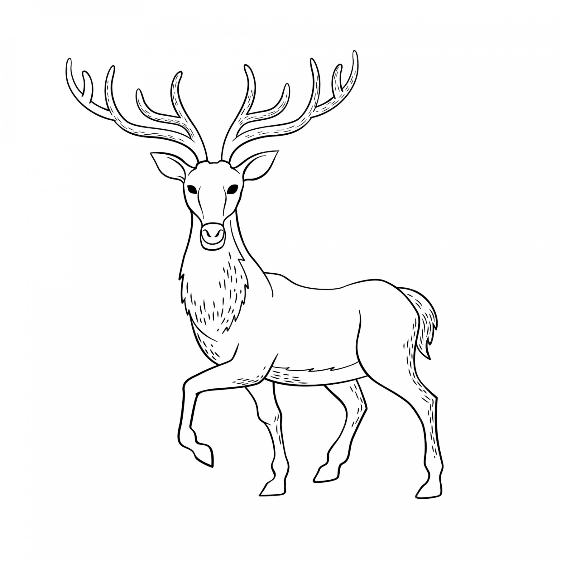 Free Vector  Hand drawn deer outline