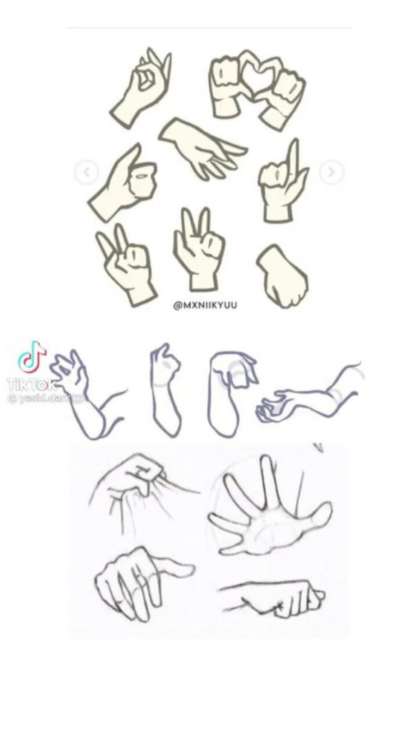 Hand bases  Referência mão, Referência de mão, Base de desenho