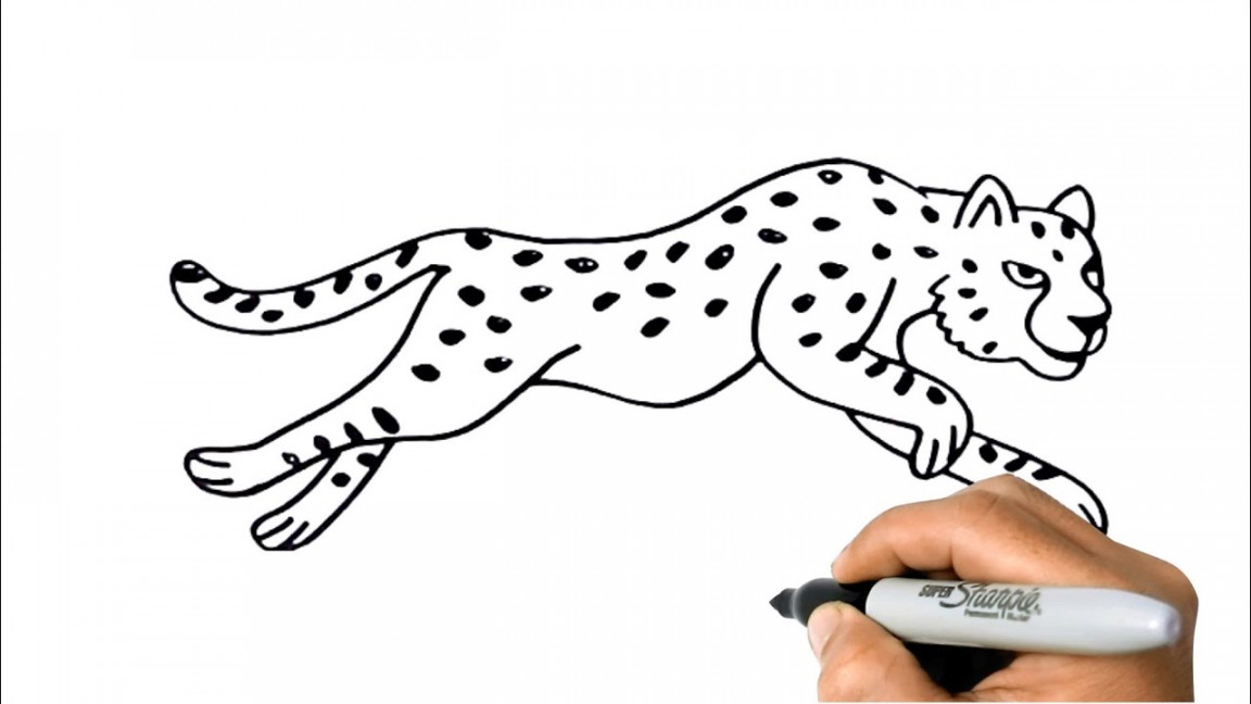 How to DRAW a CHEETAH Easy Step by Step Animal Drawing