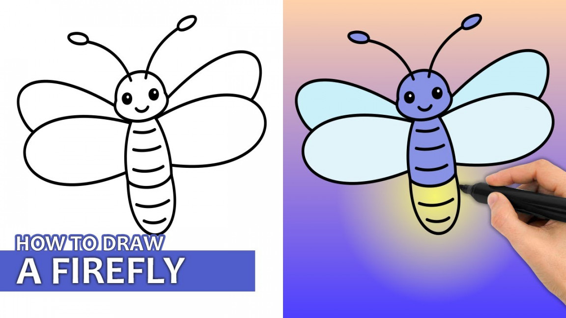 How To Draw A Firefly (Easy Drawing Tutorial)