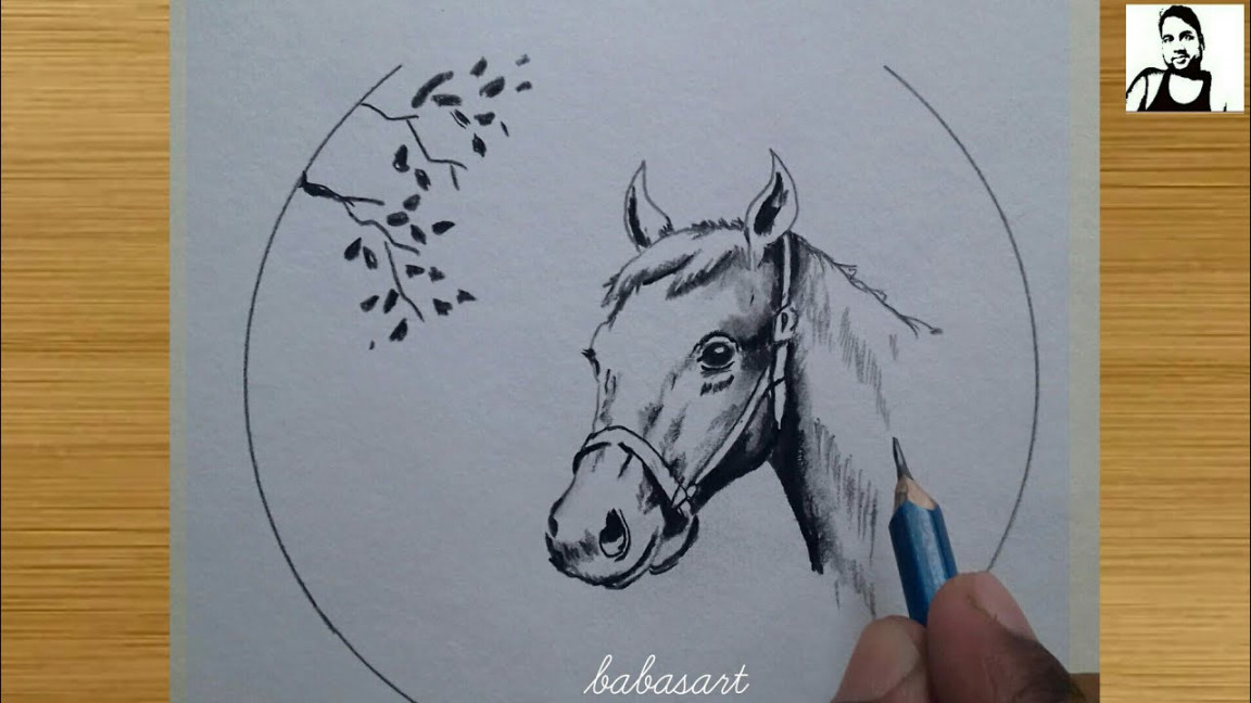 How to Draw a Horse / Horse Pencil Drawing Easy