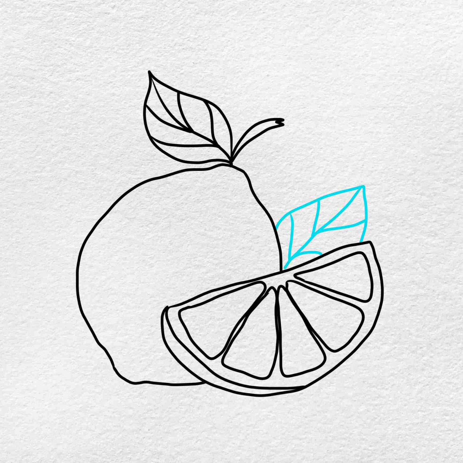 How to Draw a Lime - HelloArtsy