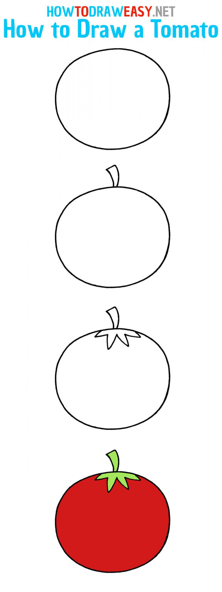 How to Draw a Tomato Easy Step by Step  Easy drawings for kids