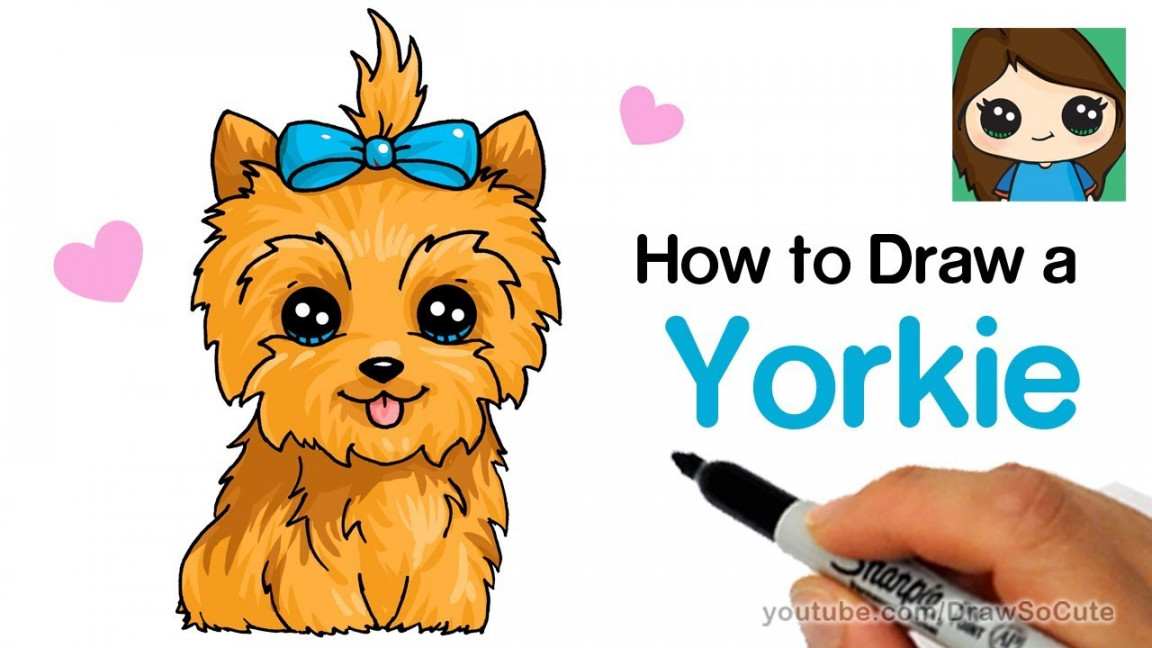 How to Draw a Yorkie Easy  JoJo Siwa