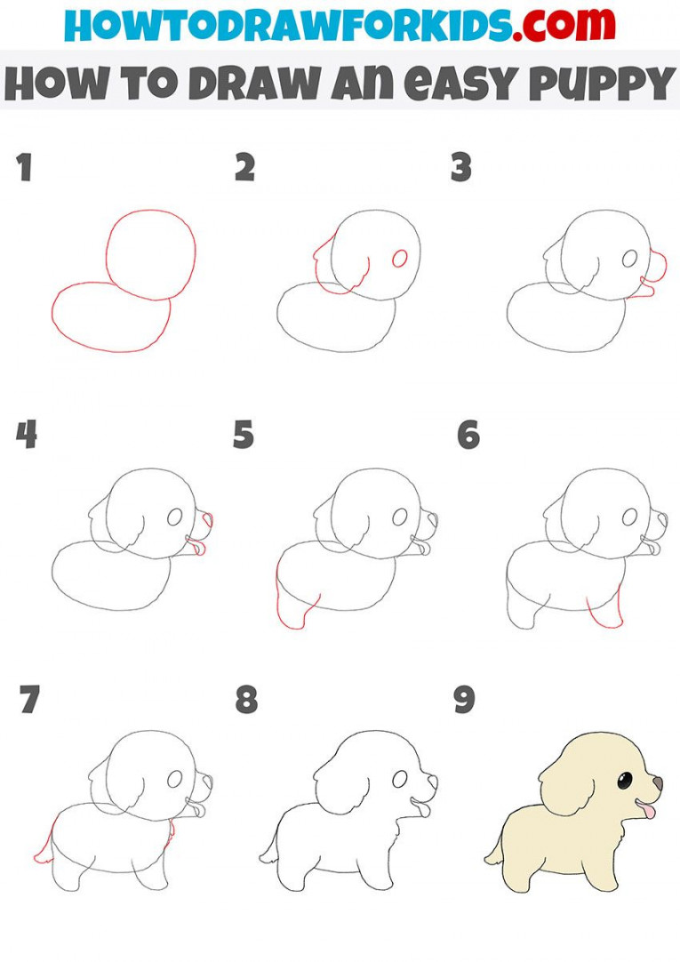 how to draw an easy puppy step by step  Puppy drawing easy, Cute