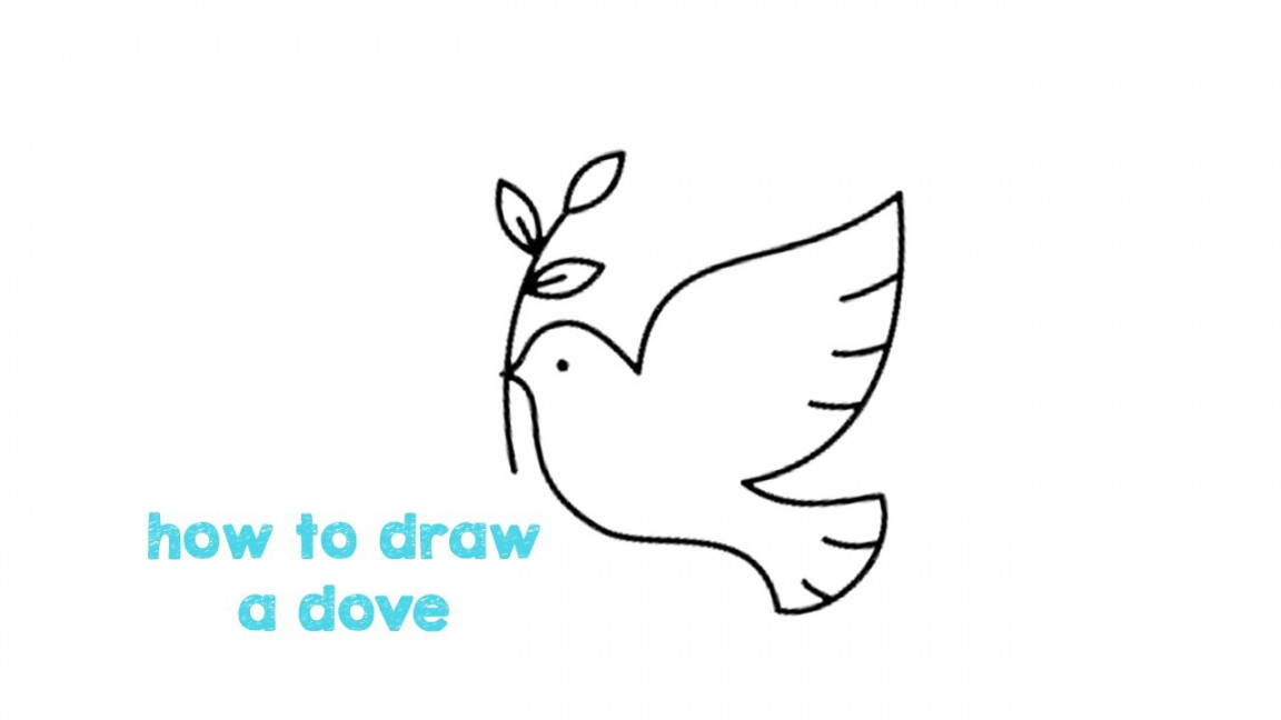 How to draw Dove Step by step - Dove Easy Drawing for children