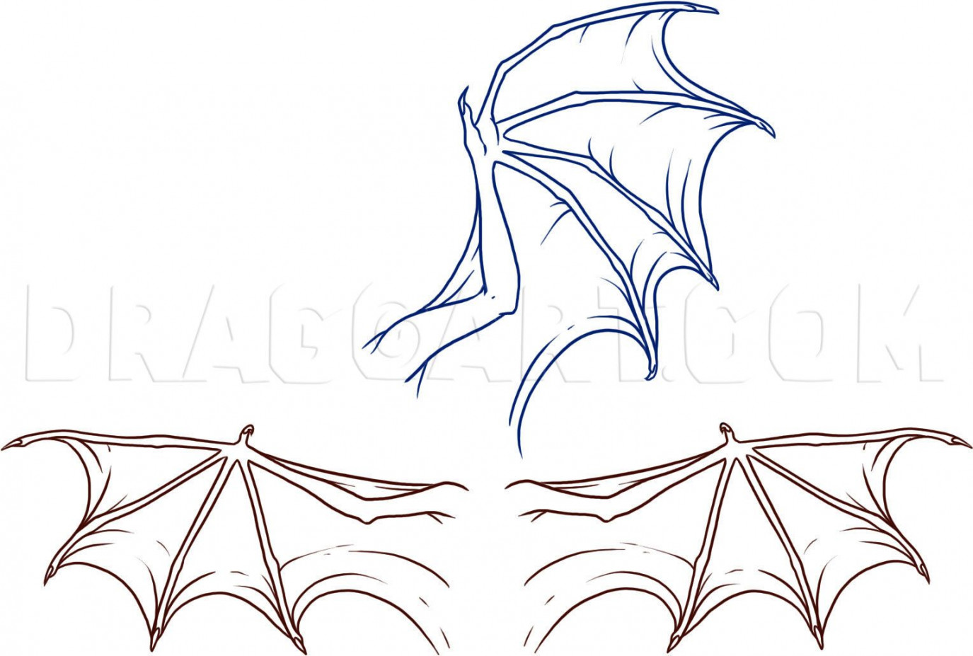 How To Draw Dragon Wings, Step by Step, Drawing Guide, by Dawn