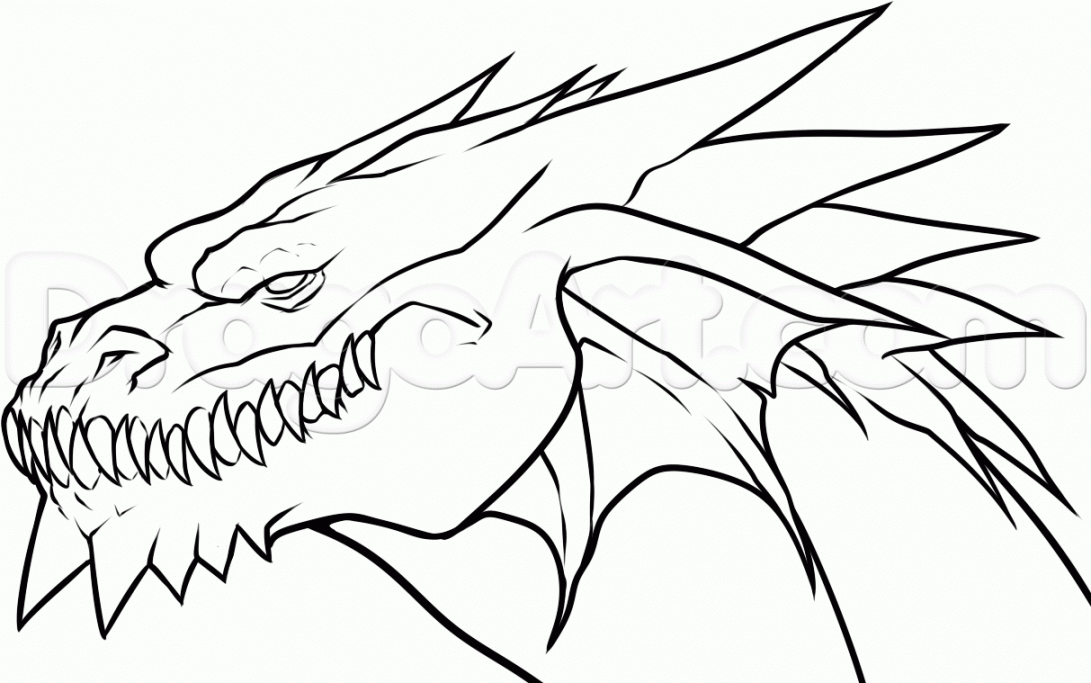 how to draw dragons  How to Draw a Dragon Head, Step by Step