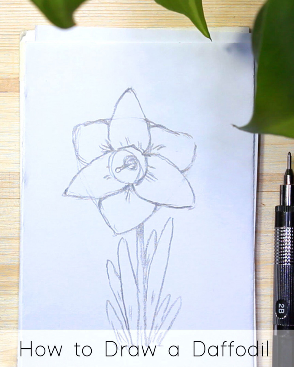 How to Draw Flowers: Step by Step Tutorials for Beginners - JeyRam