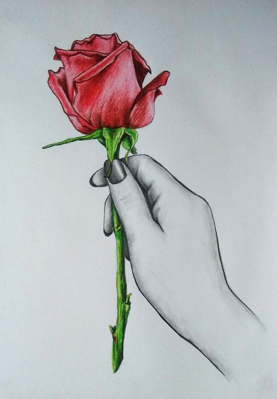 How to draw hand holding rose flower  rose pencil sketch