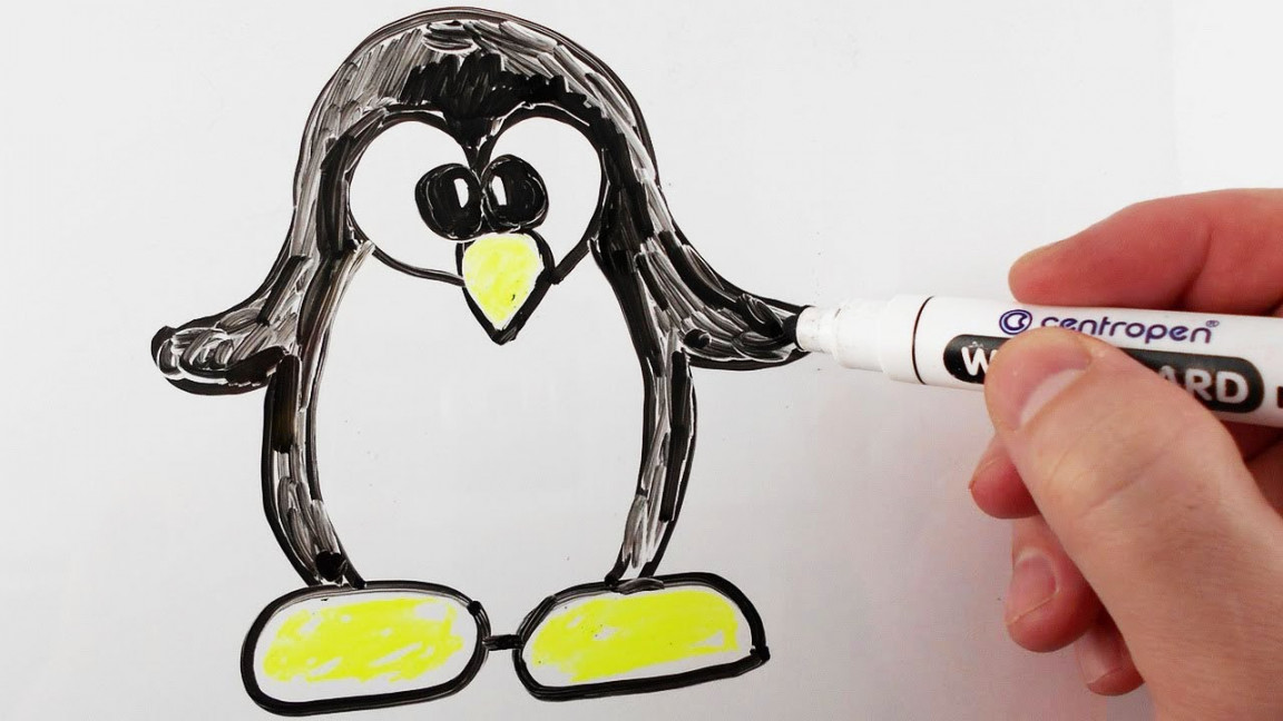 How to Draw Penguin Easy / Drawing on a Whiteboard