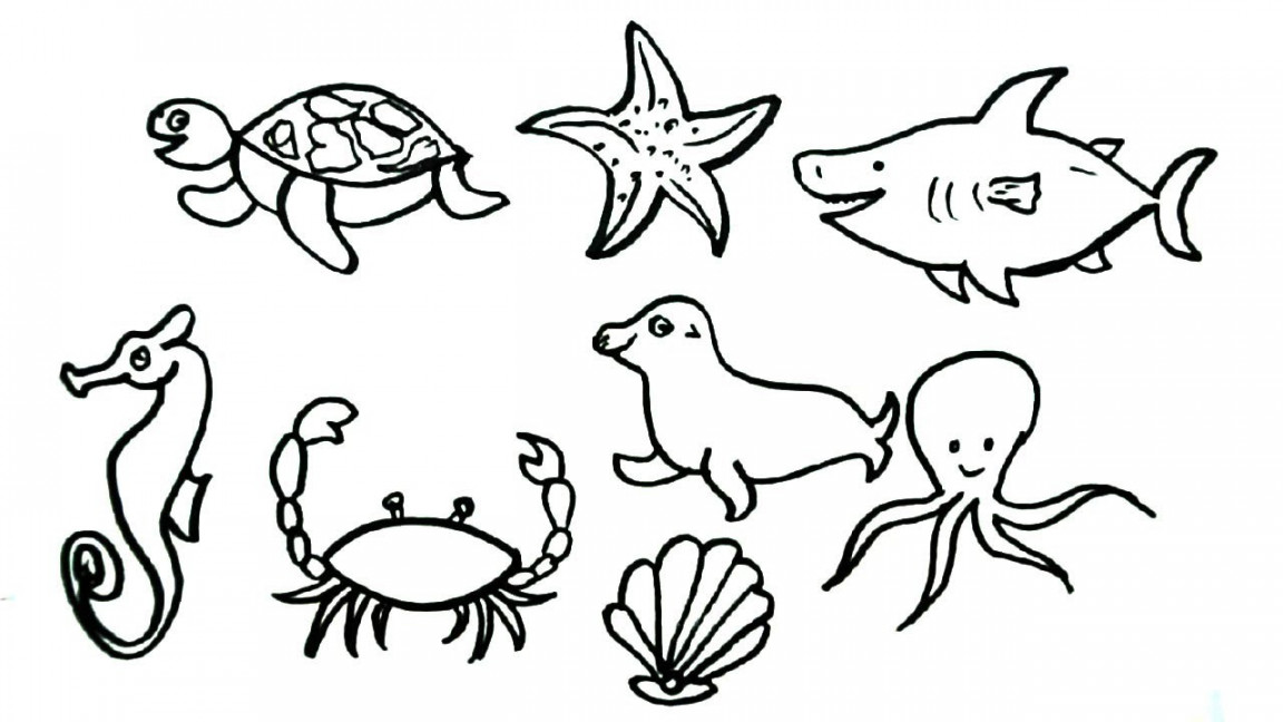 How to Draw Sea Animals drawing  Easy Step by Step drawing  Drawing  tutorial