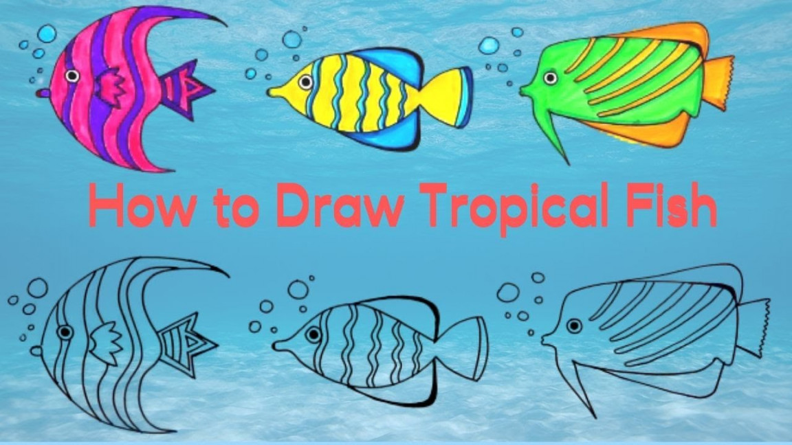 How to Draw Tropical Fish Step by Step Easy  Drawing and Coloring for Kids