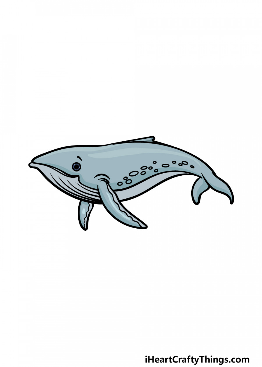 Humpback Whale Drawing - How To Draw A Humpback Whale Step By Step