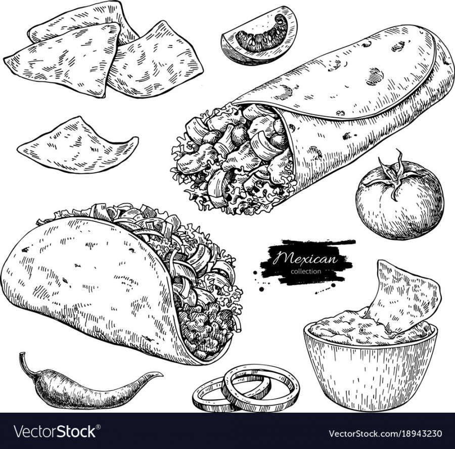 Mexican food drawing traditional cuisine Vector Image