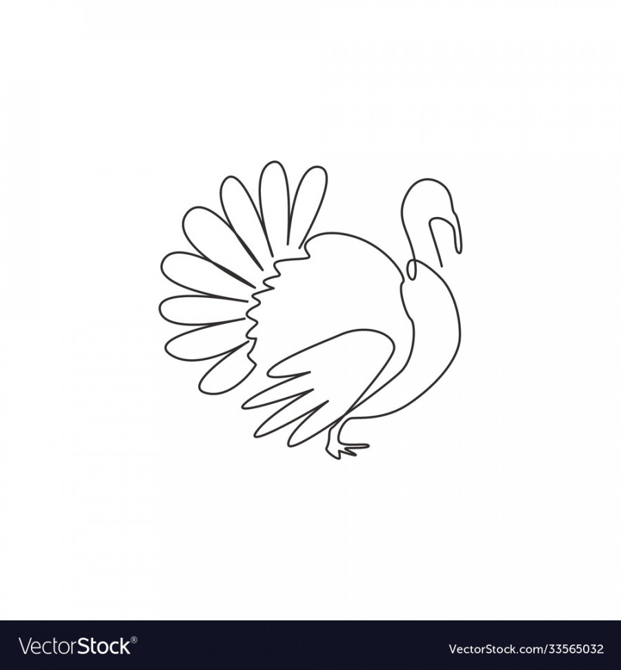 One single line drawing big turkey for poultry Vector Image