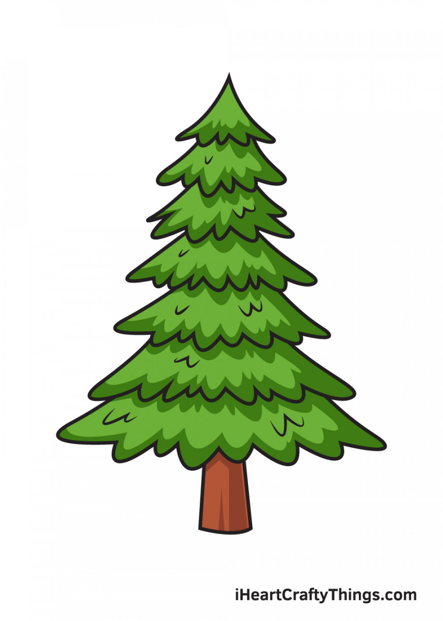 Pine Tree Drawing - How To Draw A Pine Tree Step By Step