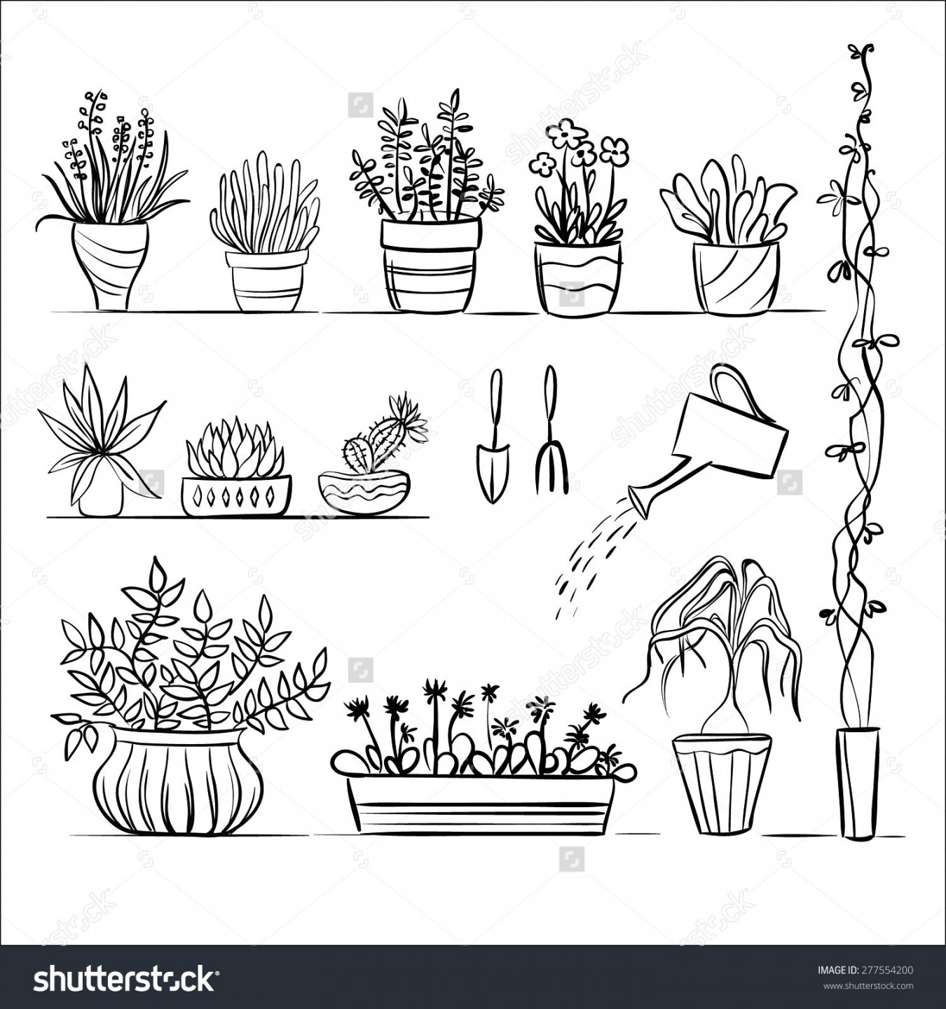 Pot Plants Tools Sketch Hand Drawing Stock Vector (Royalty Free