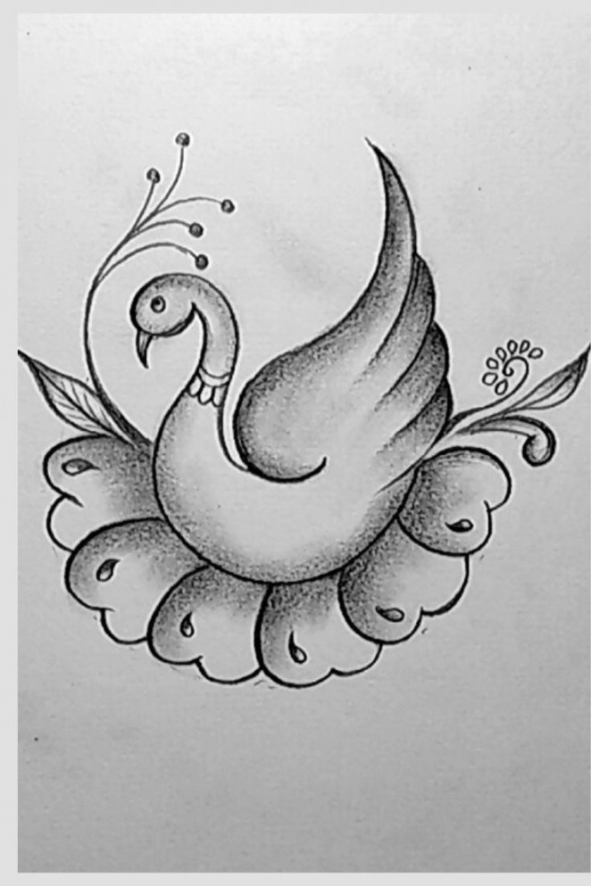 Shading Beautiful Swan Picture Easy Butterfly art drawing Bird